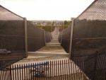 BAT BRIDGE